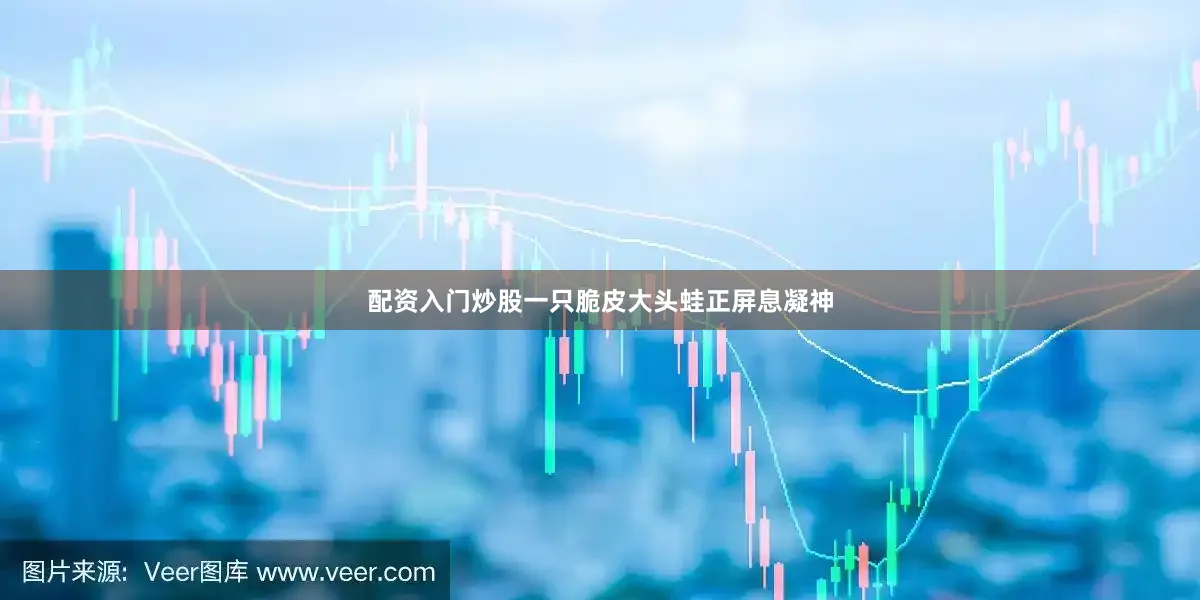 配资入门炒股一只脆皮大头蛙正屏息凝神