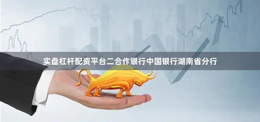 实盘杠杆配资平台二合作银行中国银行湖南省分行