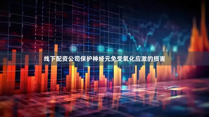 线下配资公司保护神经元免受氧化应激的损害