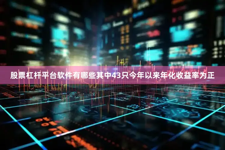 股票杠杆平台软件有哪些其中43只今年以来年化收益率为正