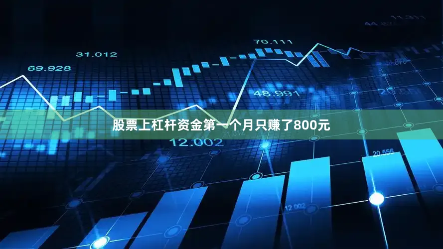 股票上杠杆资金第一个月只赚了800元