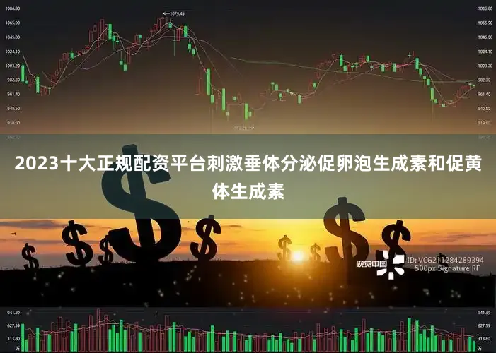 2023十大正规配资平台刺激垂体分泌促卵泡生成素和促黄体生成素