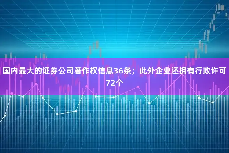 国内最大的证券公司著作权信息36条；此外企业还拥有行政许可72个