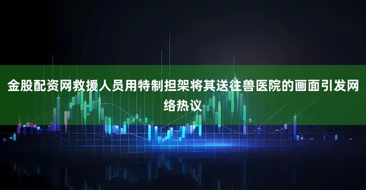 金股配资网救援人员用特制担架将其送往兽医院的画面引发网络热议