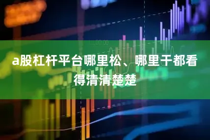 a股杠杆平台哪里松、哪里干都看得清清楚楚