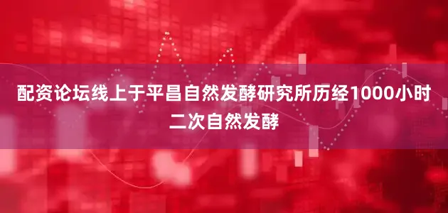 配资论坛线上于平昌自然发酵研究所历经1000小时二次自然发酵