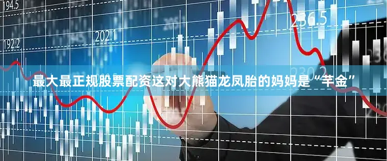 最大最正规股票配资这对大熊猫龙凤胎的妈妈是“芊金”