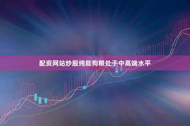 配资网站炒股纯能狗粮处于中高端水平